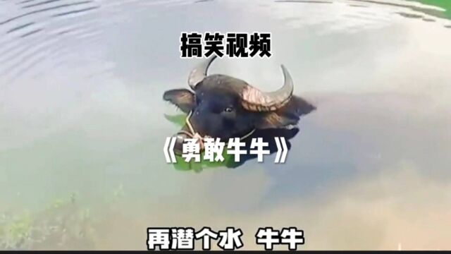 《勇敢牛牛》