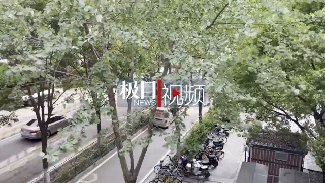 武汉市气象台发布大风蓝色预警信号:市民要关好门窗 户外少骑自行车 不在临时搭建物下停留