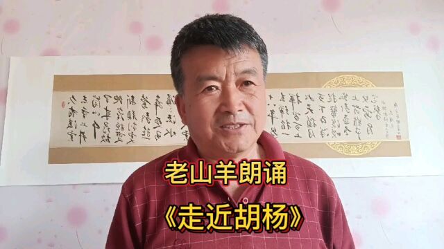 《走近胡杨》