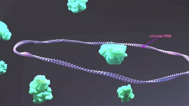 2021年生物技术融资榜单出炉,这十家新锐上榜