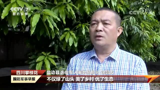 央视关注:盐边县退役军人胡洪超——让5000亩荒山迎来金芒果的春天