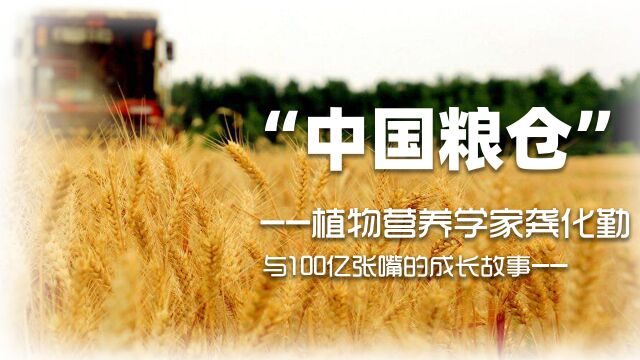 龚化勤“中国粮仓”,植物营养学家龚化勤与100亿张嘴的成长故事