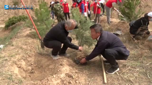 绥德县科协 计生协会 残联 文联共同开展义务植树活动