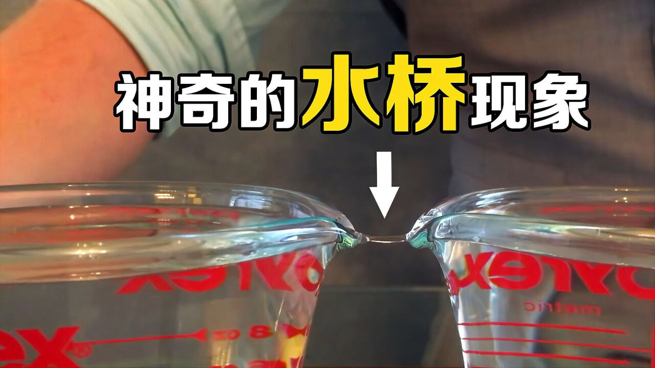 难得一见的"水桥"现象,两杯水接上电就能拉丝,你知道原理吗?