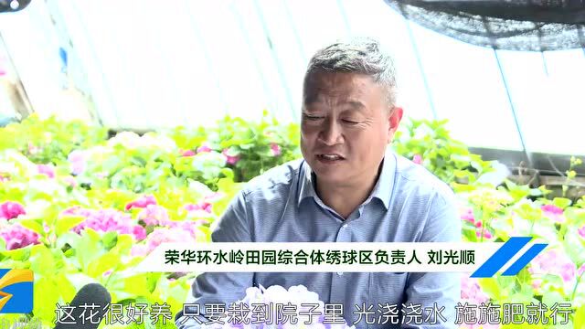 昌乐花农变身“网络主播” “五一”假期花卉卖火了