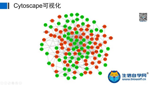 【生信自学网】课程试学淋巴结转移文章套路