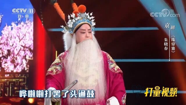 朱晓春演唱京剧《珠帘寨》,嗓音醇厚悠扬,令人赞叹