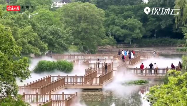 烟波浩渺似仙境 这样的宝鸡植物园你见过吗?