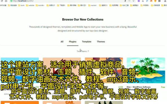 用独立站操作资源变现项目案例和方案1:设计师lina(卖图标素材,1年变现40万美金!)附10个细分行业领域虚拟产品独立站项目!