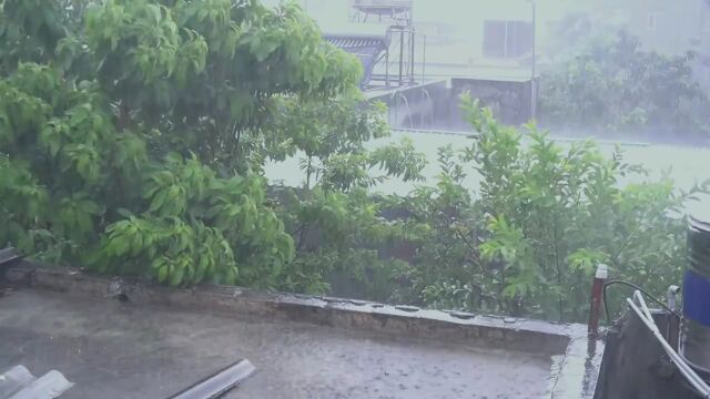 下雨的声音 白噪音氛围音环境音