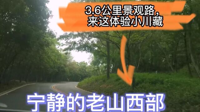 老山也有条“小川藏”,在兜率寺至隆兴寺之间的石龙路,少有人知