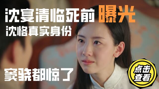 良辰好景知几何:沈宴清临死前曝光沈恪真实身份,窦骁都震惊了