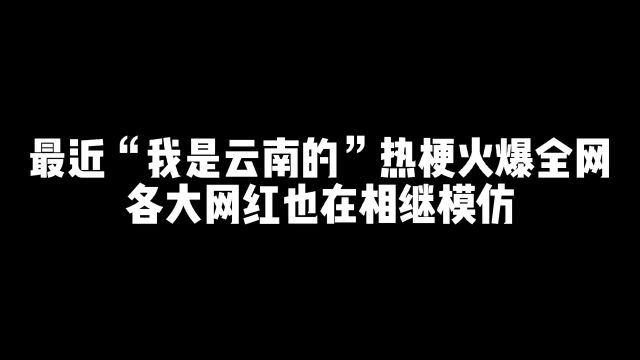 火爆全网的《我是云南的》