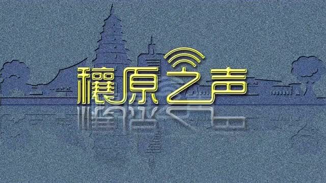 改造了!邓州湍河“大变样”:有岛、有滩、有好景!