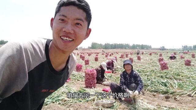 曹县种蒜大户,年收入破百万人民币,曹县隐形富豪