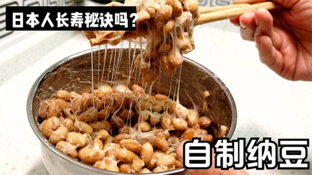 日本卖很贵的纳豆其实制作很简单,拉丝长,发酵好有窍门