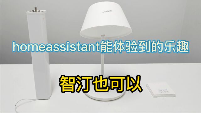 homeassistant能体验到的乐趣,智汀也可以