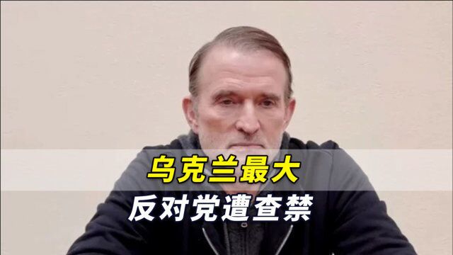 被控“与俄有联系”,乌克兰最大反对党遭查禁,将没收全部资产