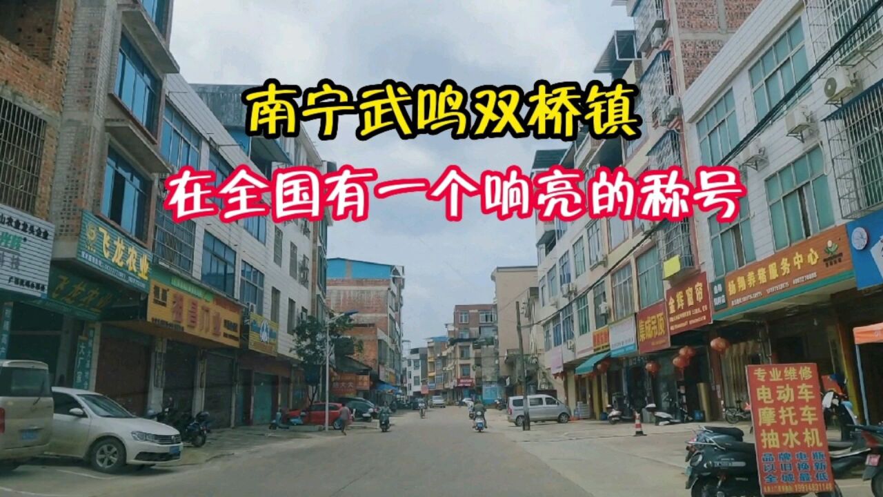 南宁武鸣双桥镇,在全国有一个响亮的称号,你知道叫什么吗?