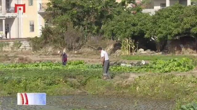 南安:高标准农田建设 激发“藏粮于地”潜力