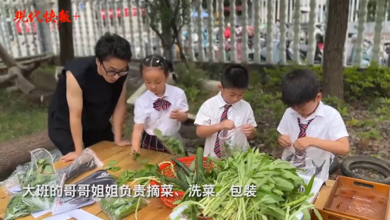 常州这所幼儿园举办首届蔬菜节,用丰收庆祝毕业