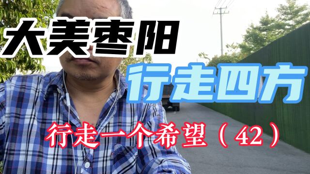 大美枣阳,行走四方,苦寻一个希望(42)用苦行揭示什么是H