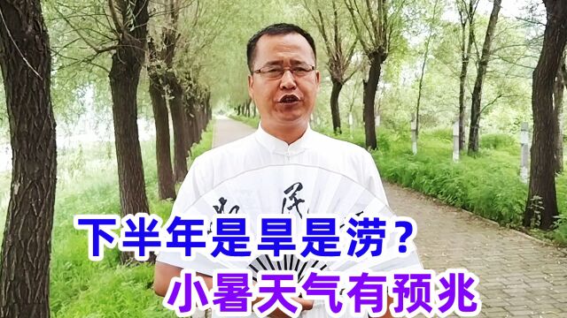 小暑节气下雨好不好?2022下半年有啥预兆?看农谚预测