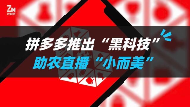 拼多多推出“黑科技”,助农直播“小而美”