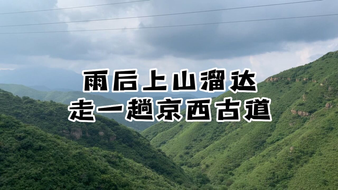 雨后上山溜达一圈,大夏天爬山出了一身汗,爽歪歪