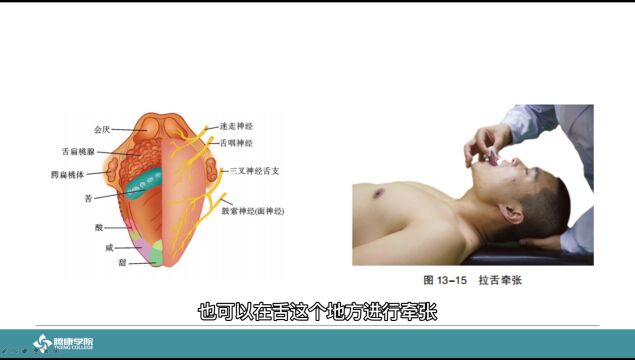 【精彩推荐】脑神经反射疗法系列课程