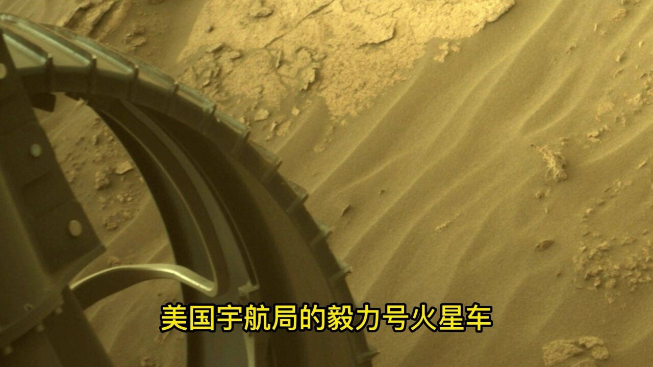 美国探测器在火星上发现了植物?