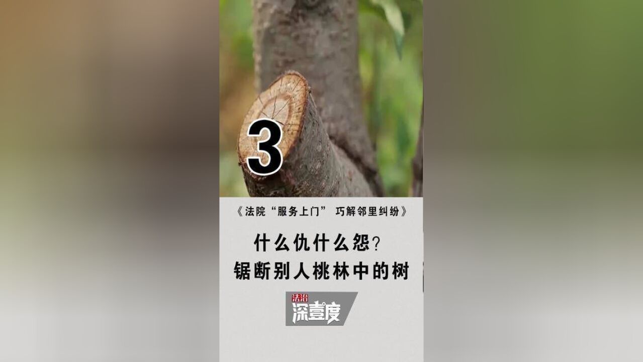 法院“服务上门” 巧解邻里纠纷3 什么仇什么怨?锯断别人桃林中的树