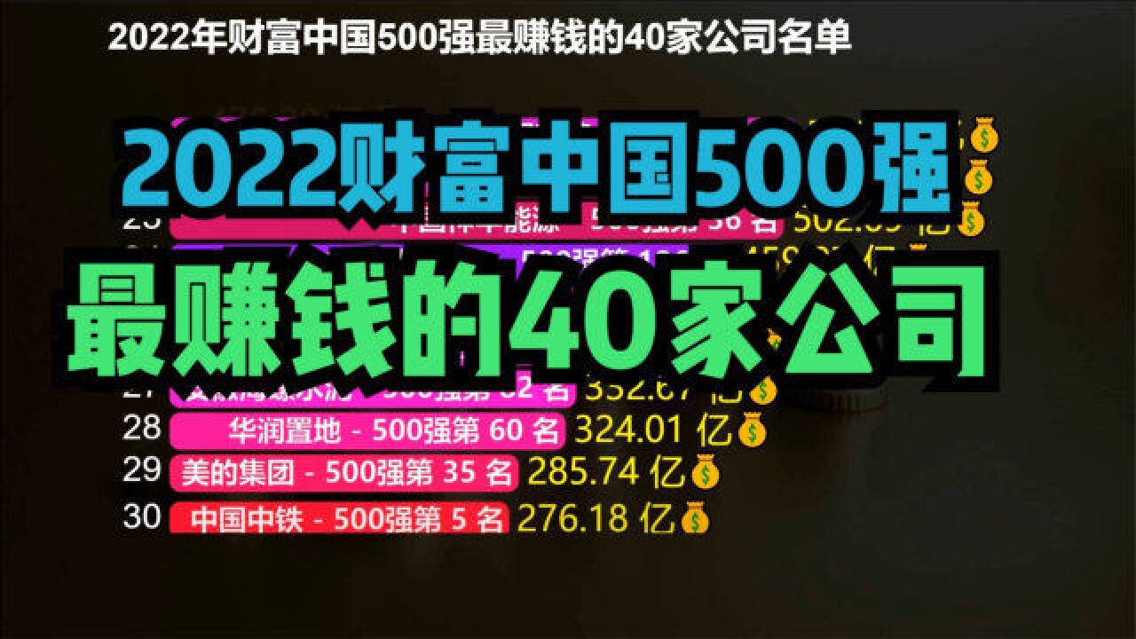 2022财富中国500强最赚钱的40家公司,第一名日赚近10亿