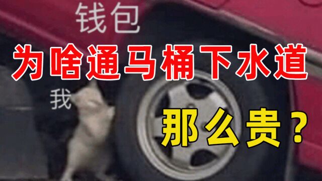 【半佛】为啥通马桶这么贵?