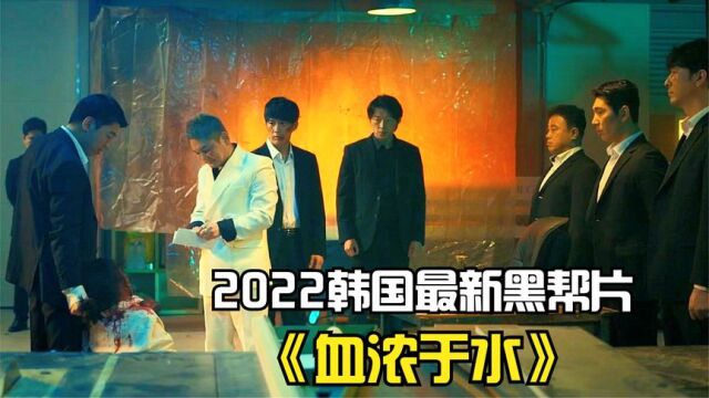 2022韩国最新黑帮动作片《血浓于水》动作干脆利落,让人热血沸腾