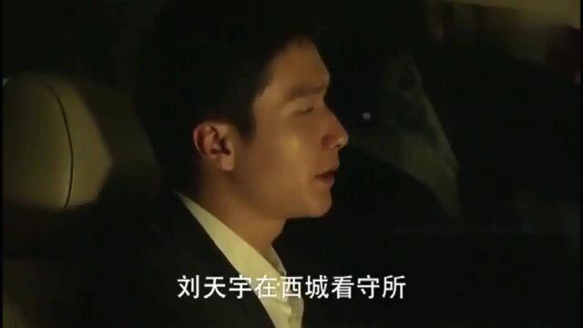 云上的诱惑:前男友入狱,空姐拒绝了警察的求婚:我要等他出来!爱情片