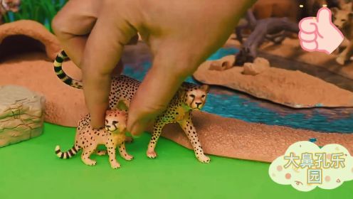 动物玩具系列：斑马，狮子，大象各种动物园玩具模型