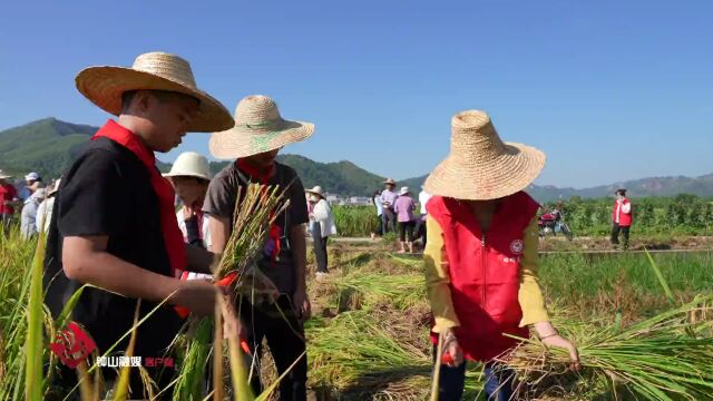 【文明实践】钟山:“丰收实践果”收获辛勤耕耘的快乐