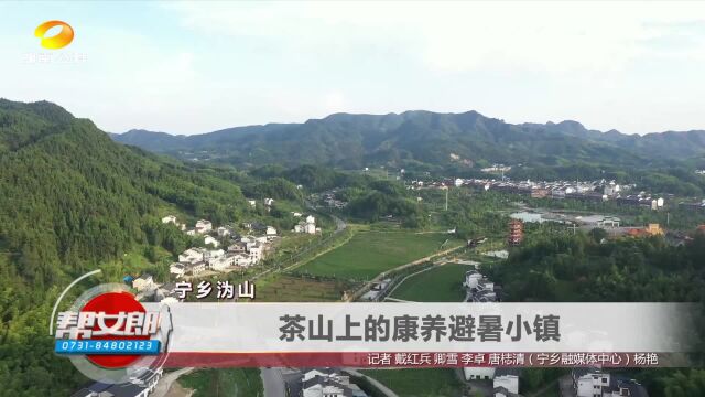 宁乡沩山:茶山上的康养避暑小镇