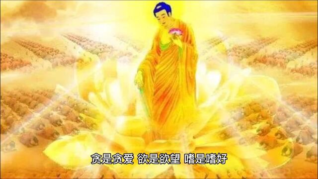 宁静致远