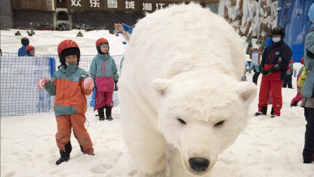 湘江欢乐城迎来欢乐吉祥物,欢乐冰熊和魔法雪狮成雪域“人气王”