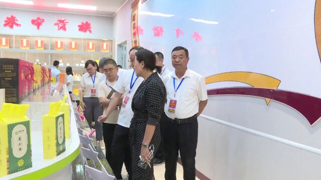 新闻|县人大常委会组织全体委员视察我县重点项目建设工作