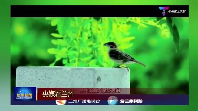 【兰州新闻】人民日报客户端发布视频《兰州:感谢四百万分之一的你!》