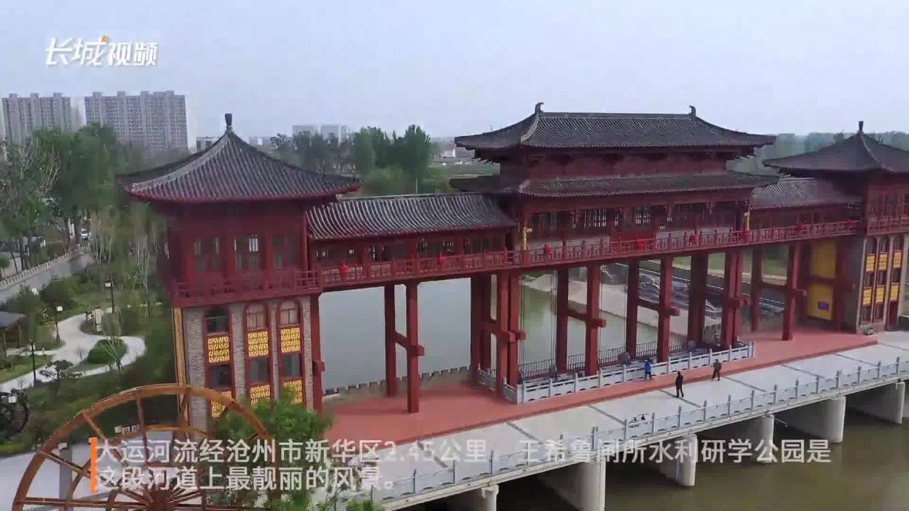 文润运河 | 新华区:智慧水利风景独好