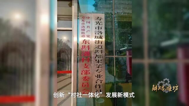 【解码潍坊】潍坊市探索推广村社一体化发展新模式丨改革走在前 献礼二十大⑭