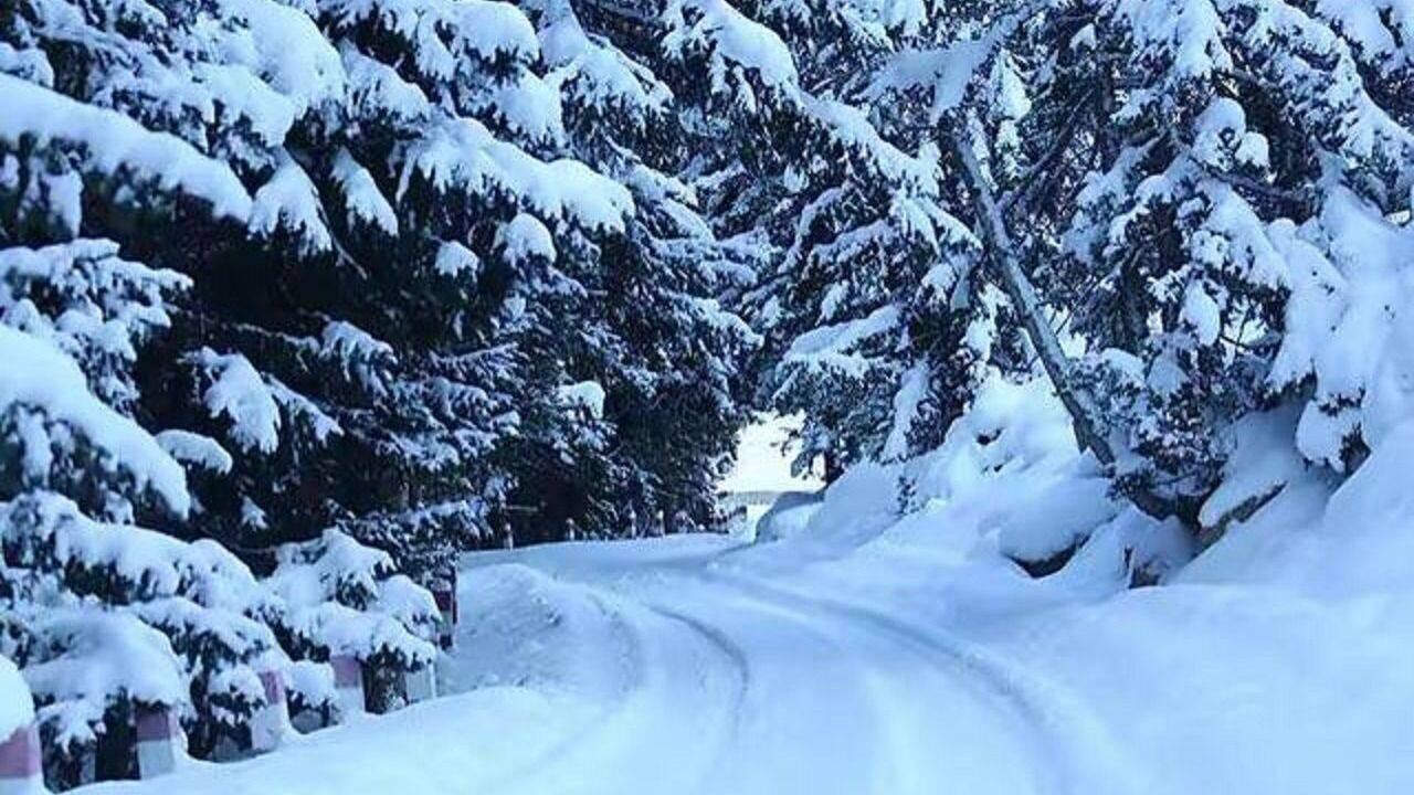 新疆阿勒泰下雪了!系入秋以来首场降雪,高温地区网友羡慕哭了