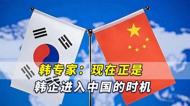 “一切都才刚刚开始”!韩专家:现在正是韩企进入中国的时机