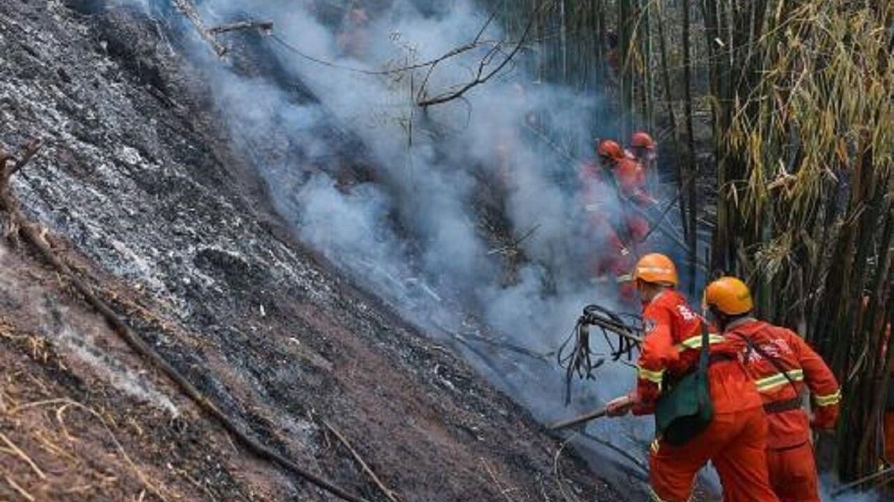 重庆巴南:3700余人正全力扑救山火 目前火势可控