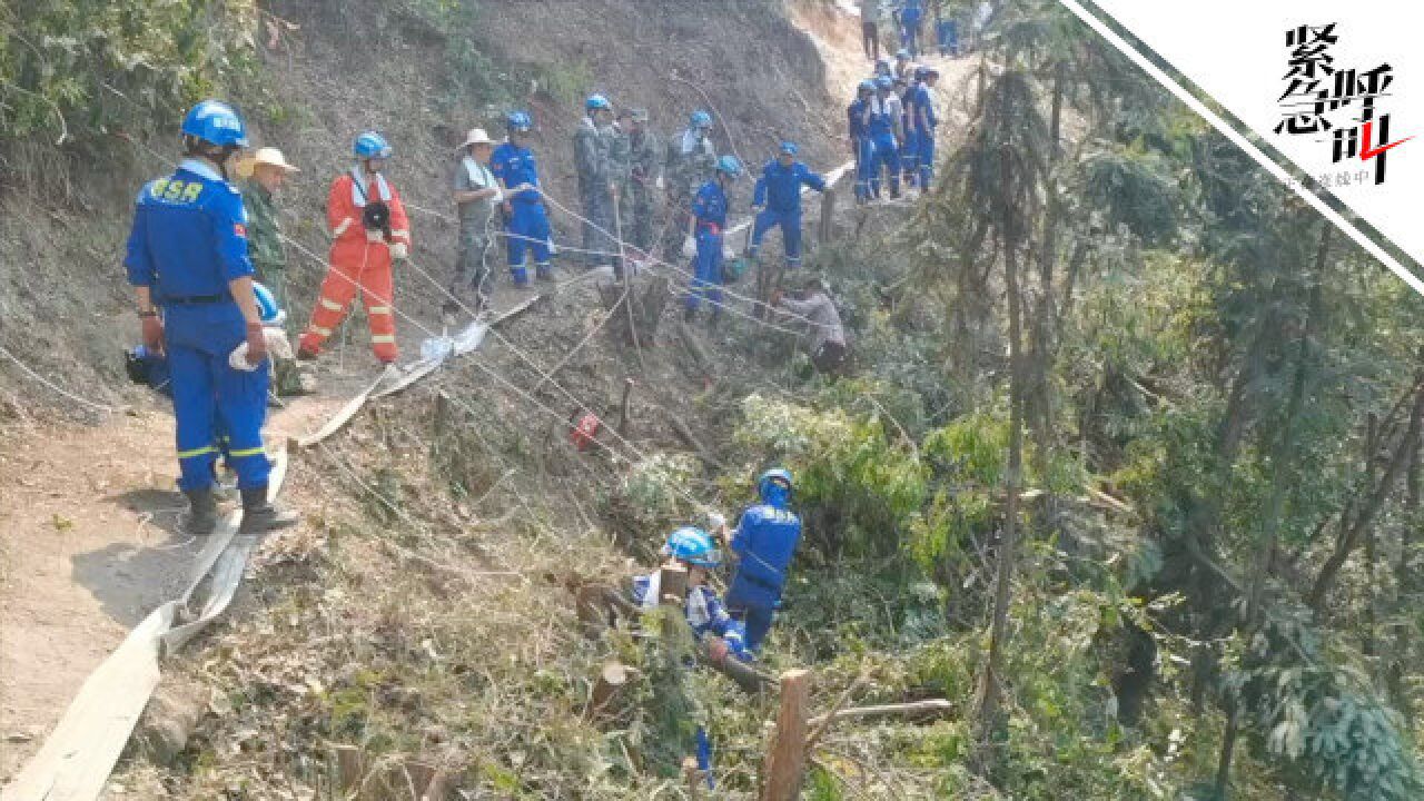 重庆巴南山火正挖隔离带:救援队在山崖系安全绳锯树 2公里外就是火场