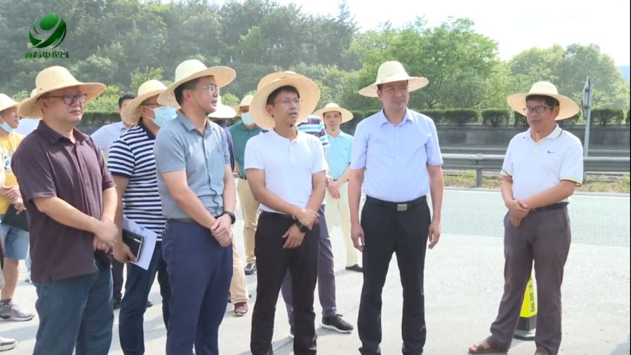 县长调研海峡两岸农文旅融合发展示范区项目